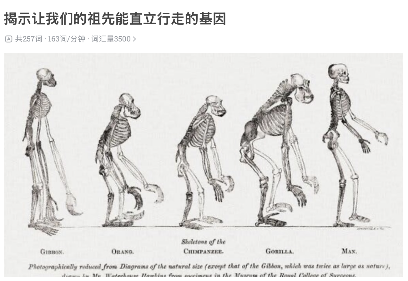 揭示让我们的祖先能直⽴⾏⾛的基因