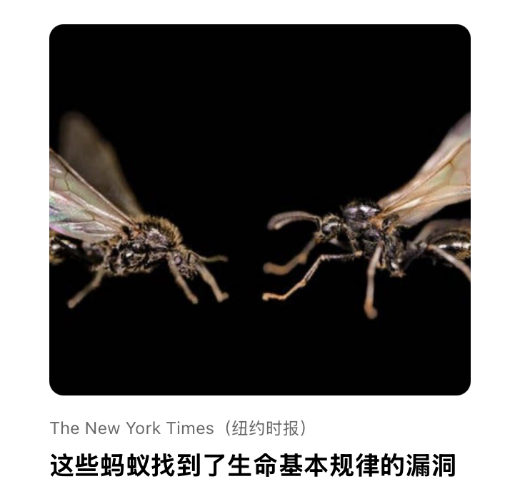 这些蚂蚁找到了⽣命基本规律的漏洞